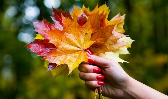 Fuori le unghie: i nail trend dell'autunno Fuori le unghie: i nail trend dell'autunno
