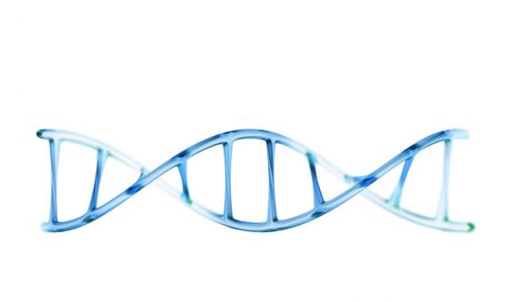 In Italia scoperto il fiore del DNA