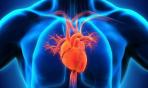 Via le barriere alle cure per la stenosi aortica