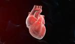 Disturbi cardiaci: la fibrillazione atriale