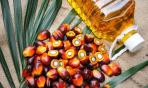 Verso l'Olio di palma sostenibile  