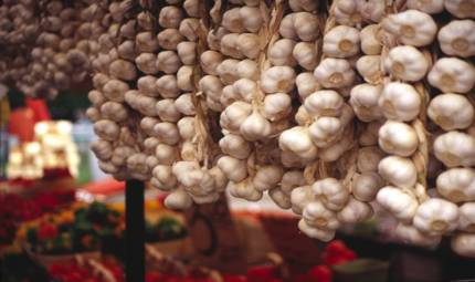 Dieci domande sulle virtù dell'aglio
